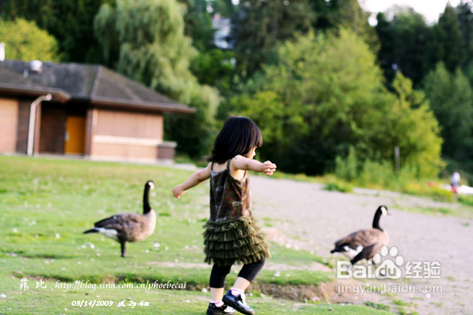 温哥华鹿湖Deer Lake 黄昏漫步(组图)