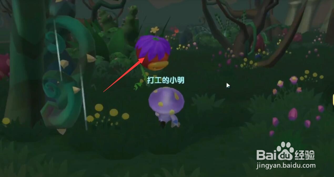 摩尔庄园手游食人花粘液怎么获得