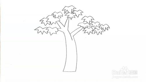怎么画梧桐树怎么画才好看