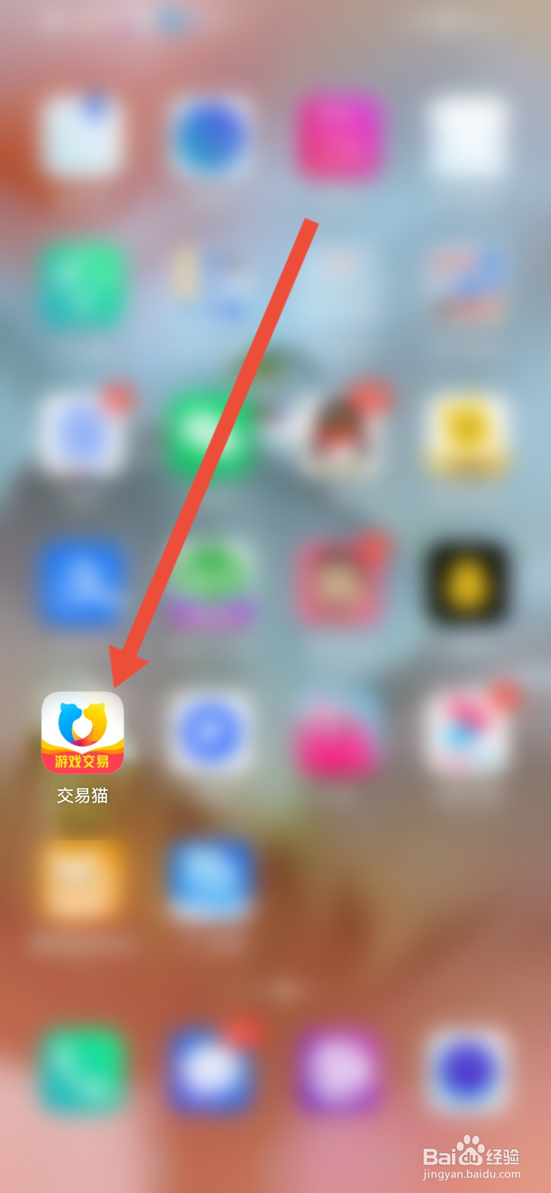 交易猫如何查看平台规则