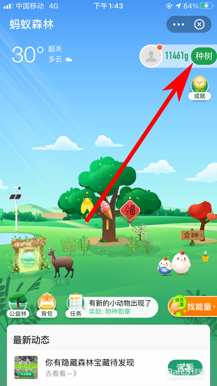 蚂蚁森林怎么样种树