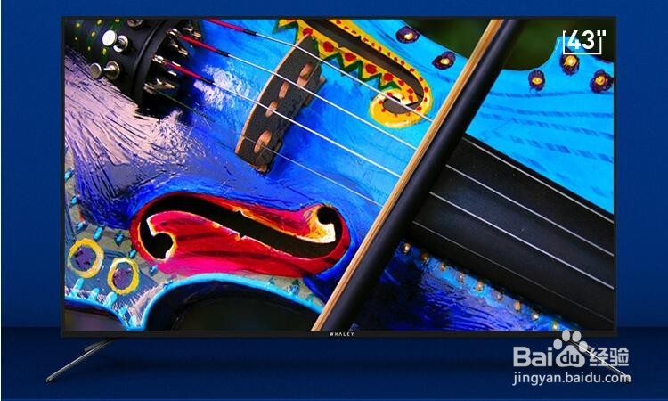 一张图看懂微鲸电视D系列43D新品电视