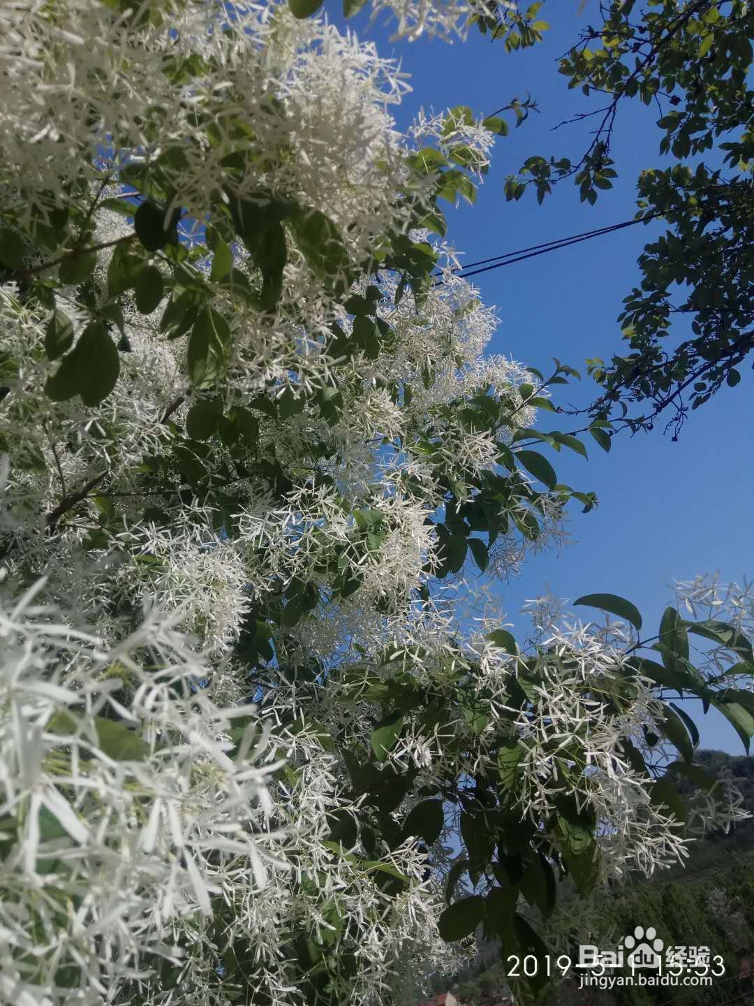 绿色旅游地推荐