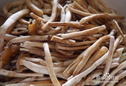 家常版干锅茶树菇是怎么做的家常教程