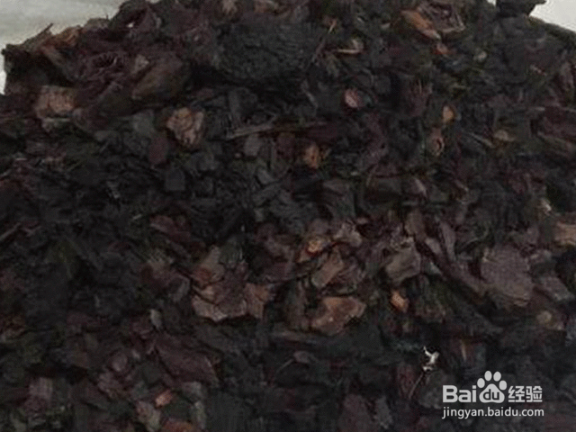 家庭养花注意事项——怎么浇水