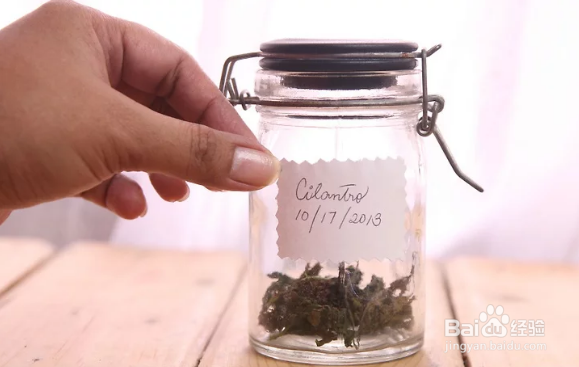 如何在室温下风干并储存香菜