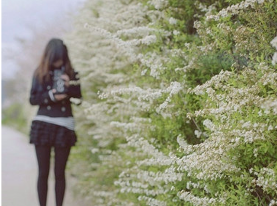 希望一切如愿的句子