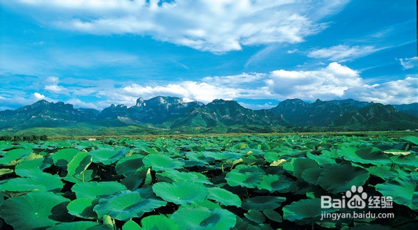 张家界汽车之家时尚主题客栈旅游景点线路