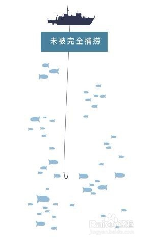 野生捕捞的海鲜评估方法