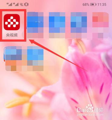 2020央视boys五一带货直播在哪观看