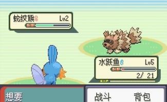 口袋妖怪xy一周目图文攻略 百度经验