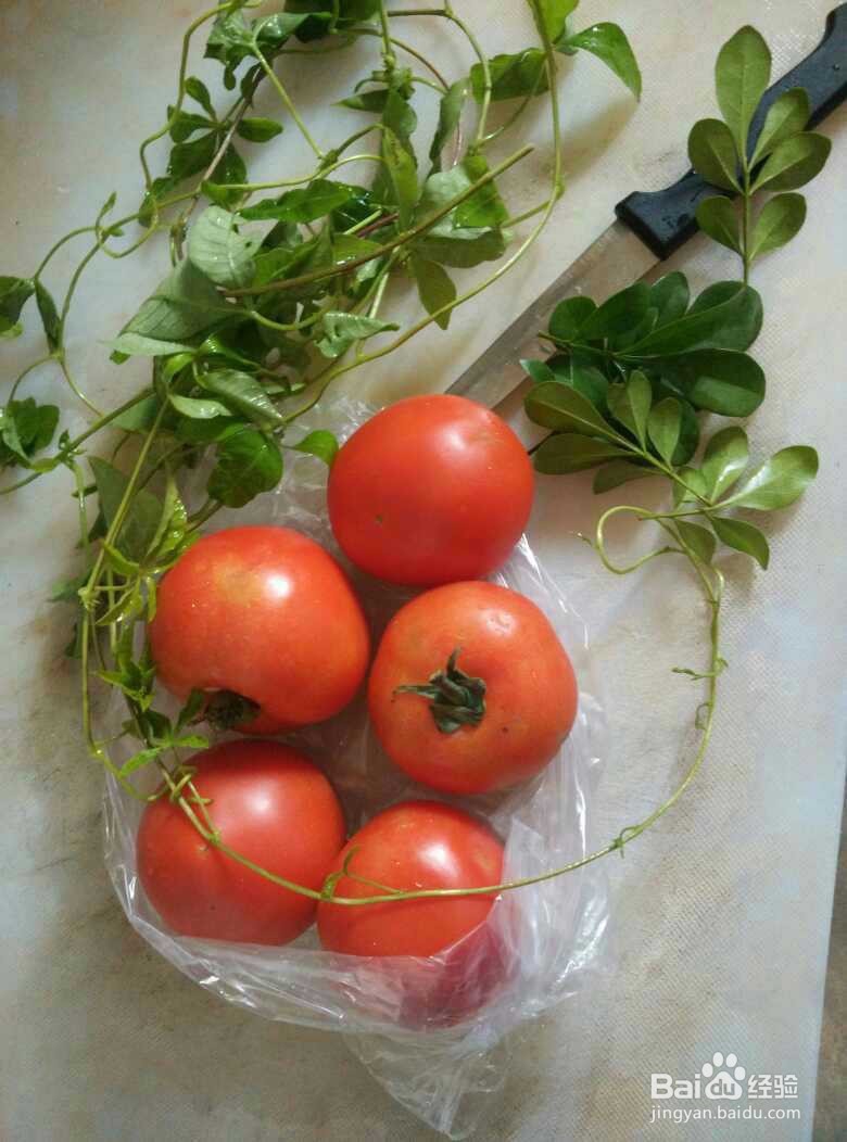 逼真精美的番茄玫瑰花的制作方法图解
