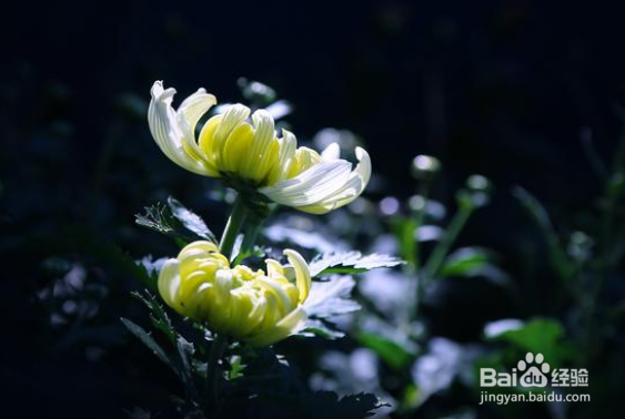 怎么拍照发朋友圈吸引人？