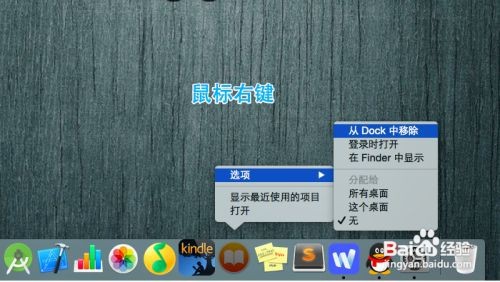 苹果电脑下面一排显示怎么设置