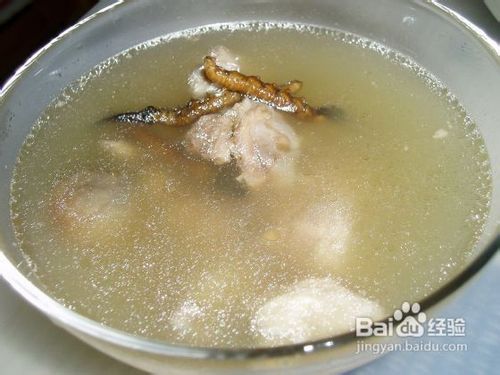 怎么做虫草鸭子汤