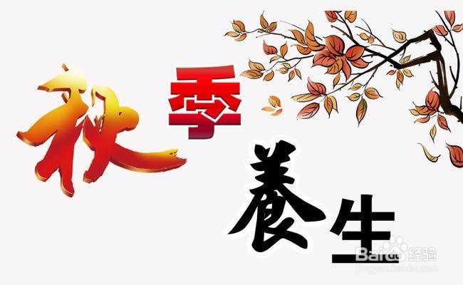 秋季养生吃柿子,但要懂得“柿”可而止!