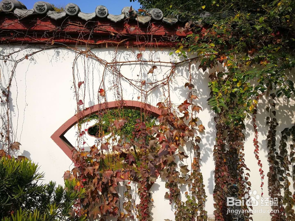 如何帮助孩子增加同情心