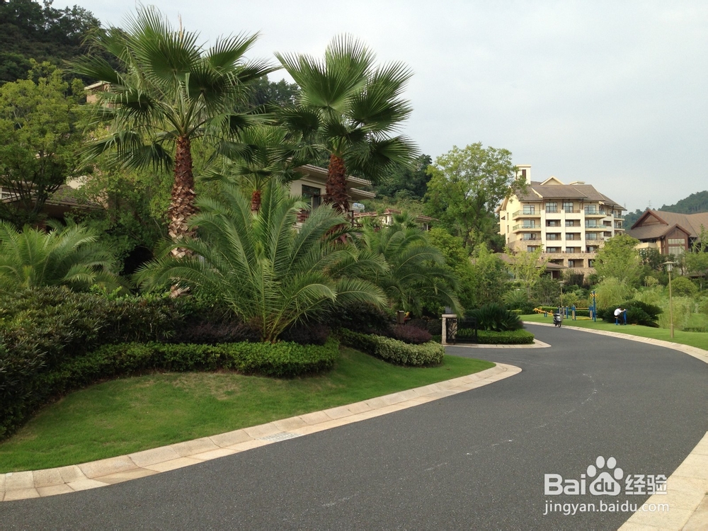 千岛湖度假--途家别墅的美好一天