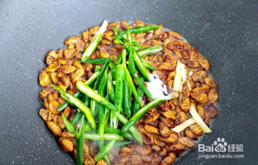 青椒炒蚕蛹的做法
