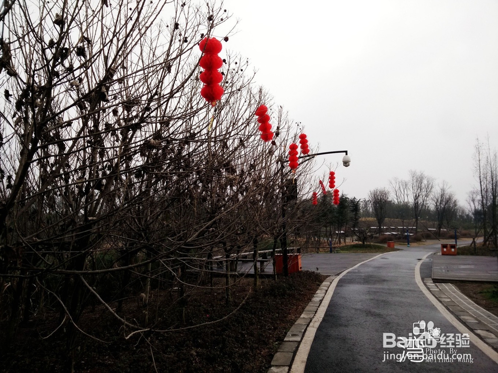 【校园指南】四川师范大学成龙校区出行篇