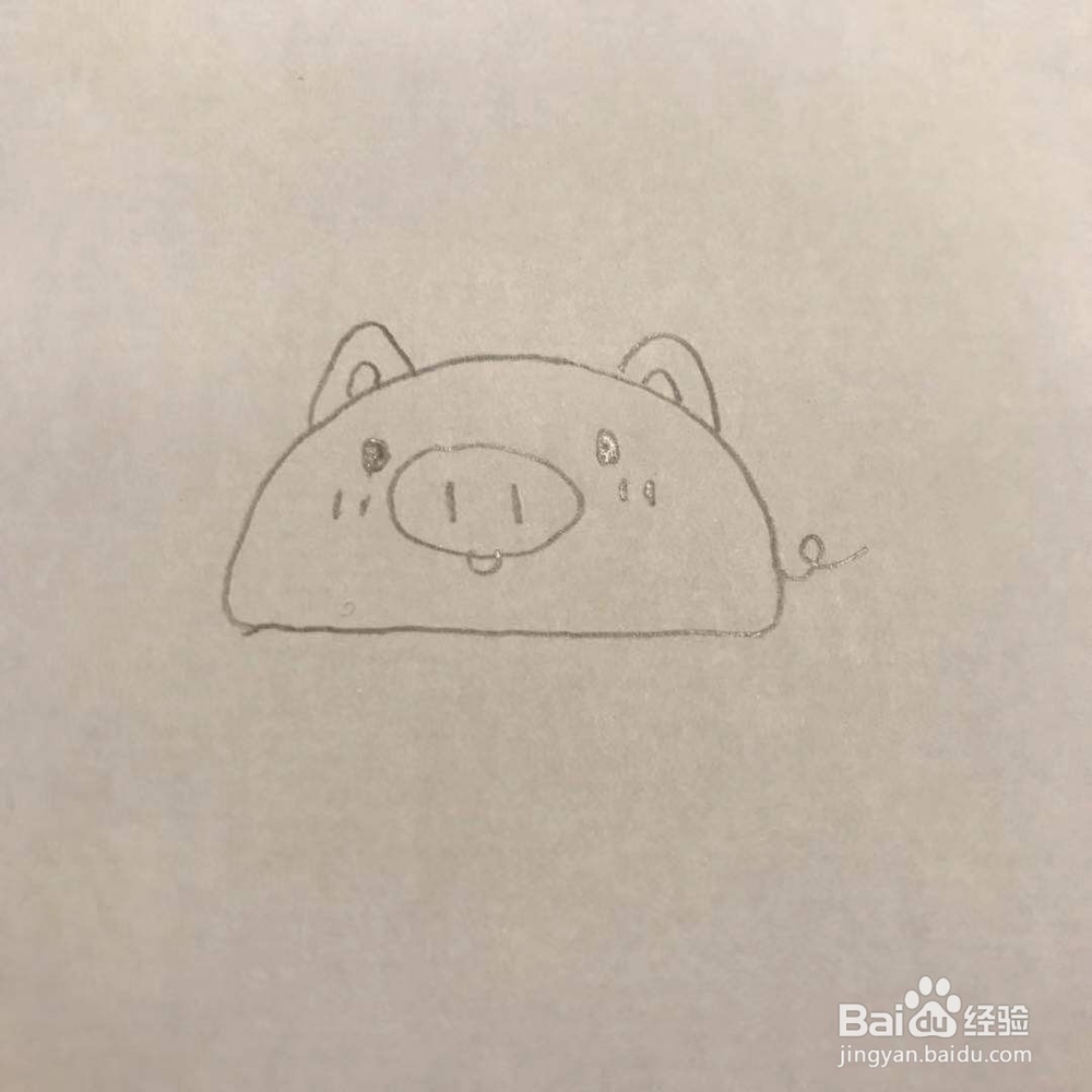 怎么画猪啊