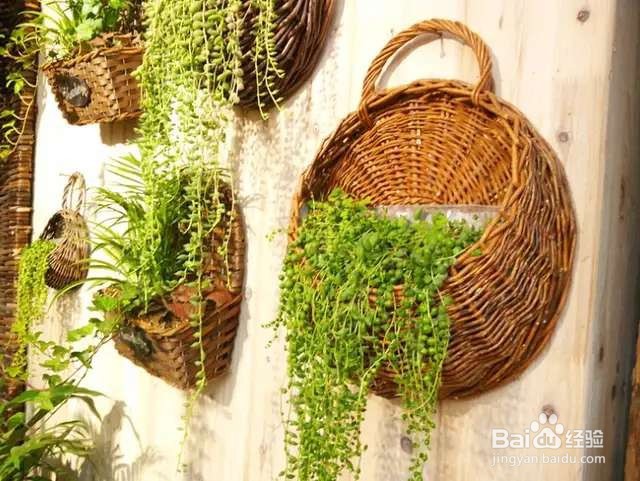 路边剪几根柳枝，简单一折变花盆，太漂亮了吧