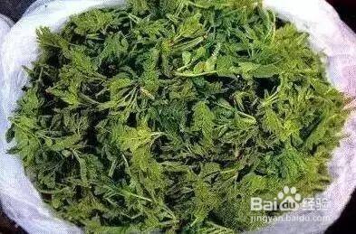 凉拌皂角树嫩芽