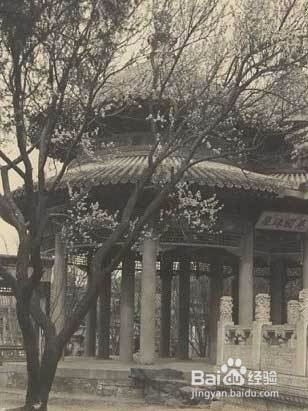 古建筑之双环亭构造解析