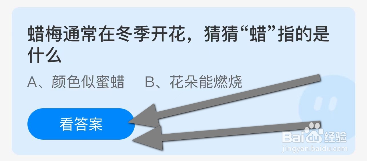 蜡梅通常在冬季开花，猜猜“蜡”指的是什么？