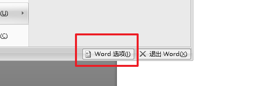 word开发工具选项卡在哪