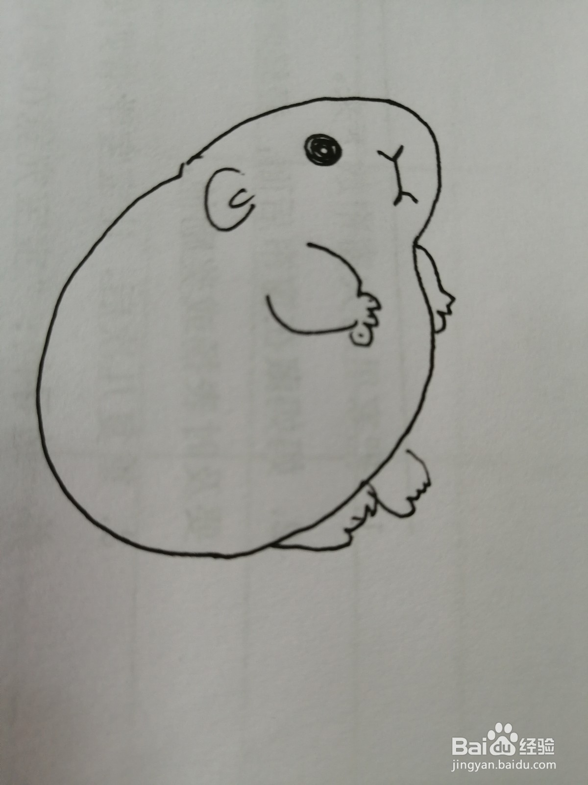 简笔画小仓鼠怎么画