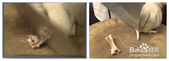 凤爪快速去骨头 无骨凤爪完全不吐