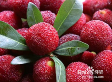 杨梅怎么存放时间更长