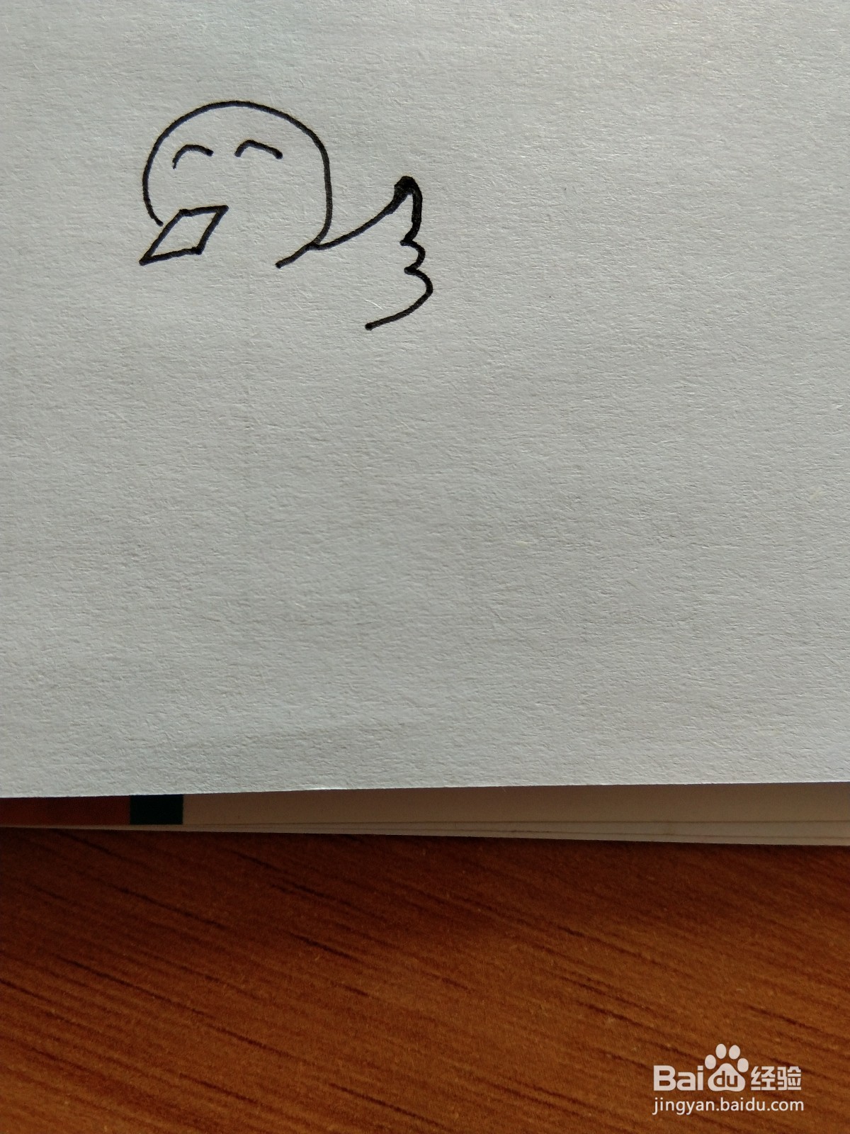 小鸟的简笔画