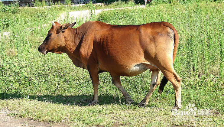 网上没票了，其它多种抢票攻略