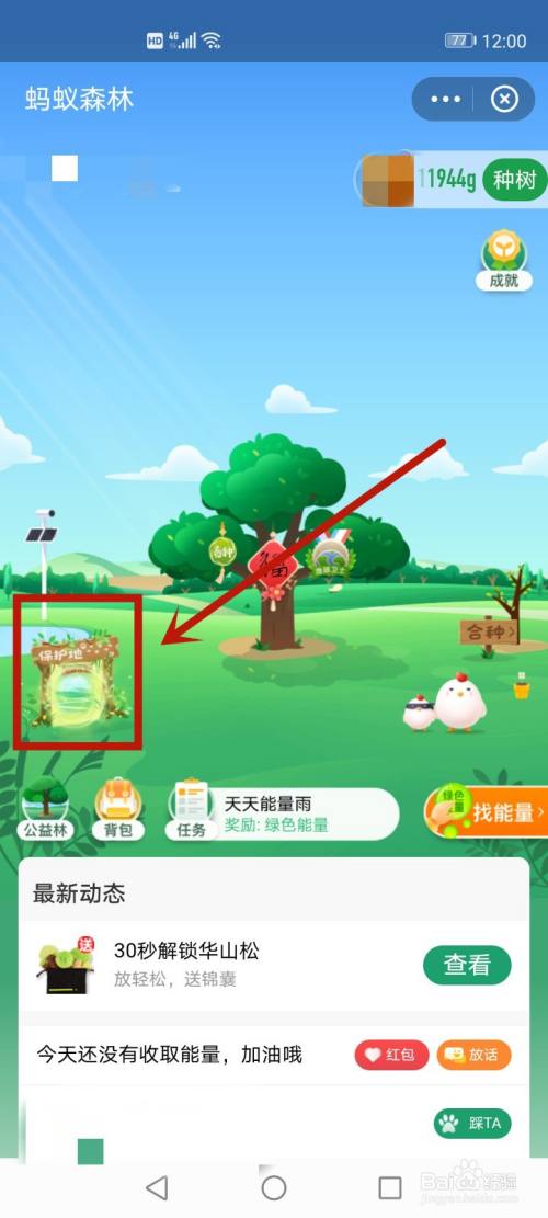 蚂蚁森林荒漠猫是怎么来的