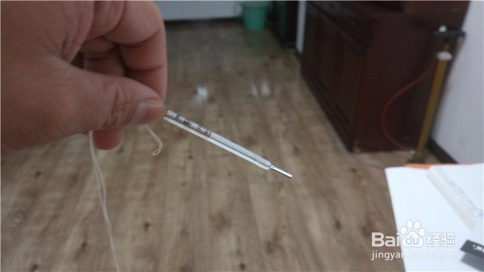 怎么给狗测体温