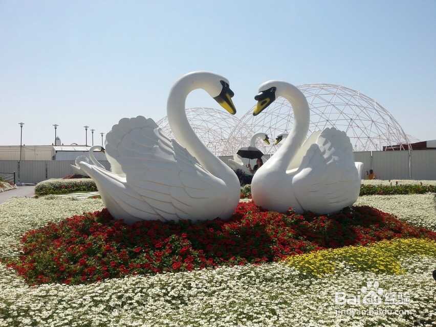 沿途的风景在我的镜头里,更在我心里 迪拜篇