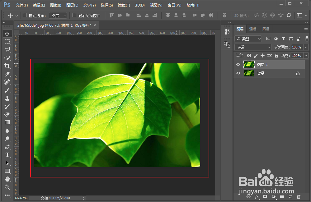 PS怎么调整图片亮度