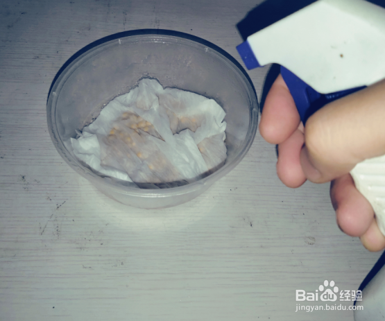 种子活力测定方法