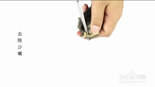 最好的海参泡发方法