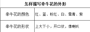 怎么描写牵牛花的外形