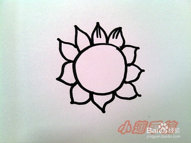 油画棒植物篇3向日葵