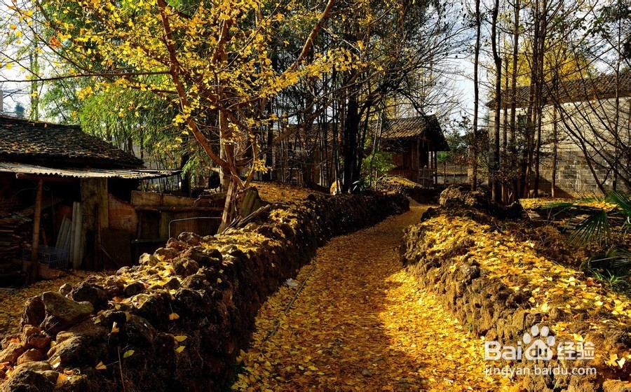 11月份国内最值得去的旅游地方