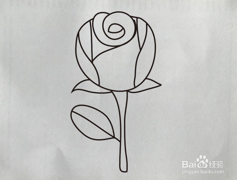 如何画玫瑰花简笔画