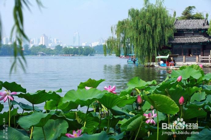 泉城济南一日游