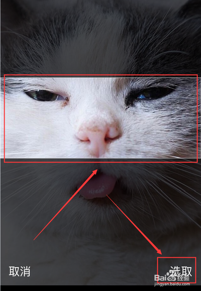 简书App怎么更换个人资料背景图