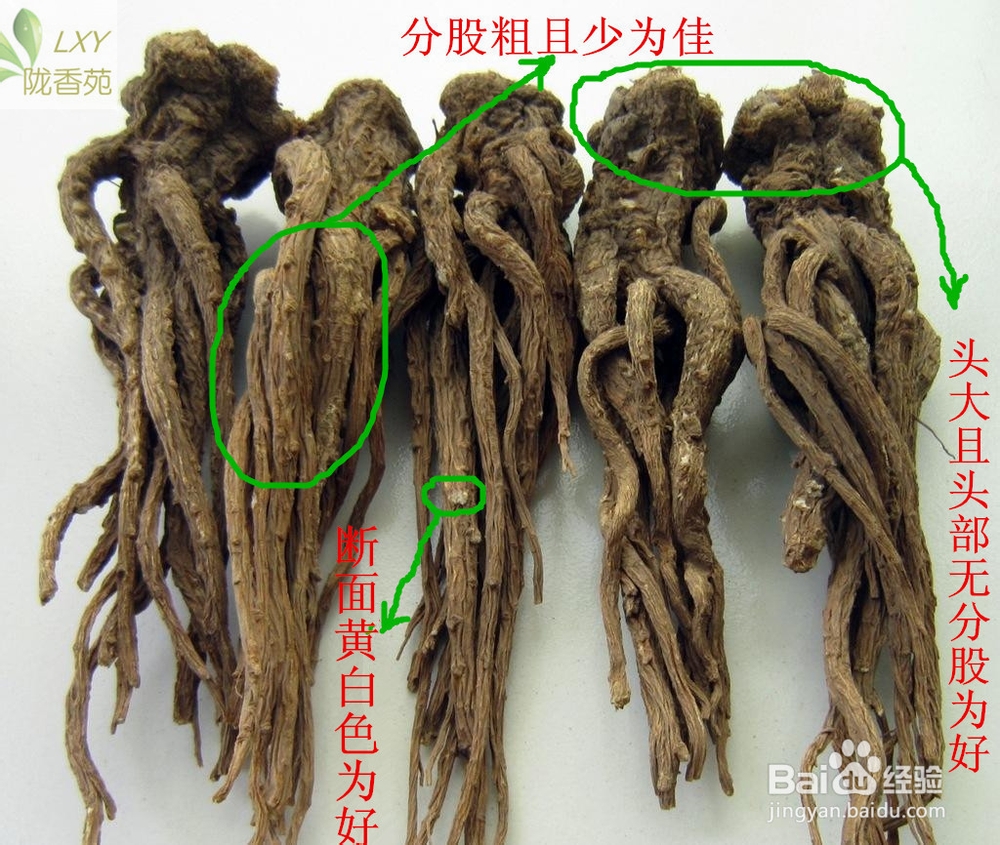 怎么挑选当归和辨别无硫当归-百度经验