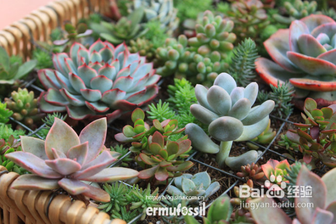 2012年6月23日 记录