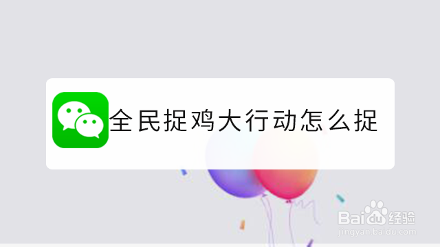 <b>全民捉鸡大行动怎么捉</b>